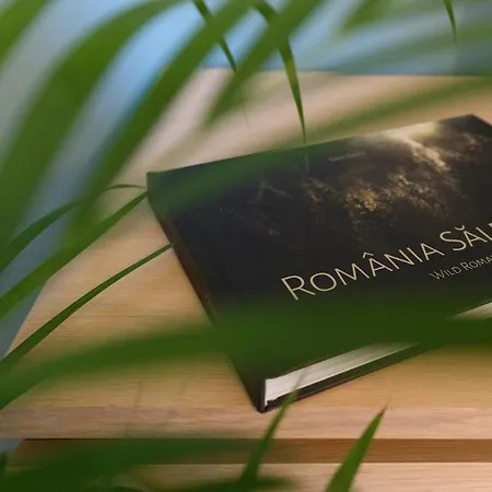 Lägenhet Charming & 1br Ap 2 Balconies -old Town *