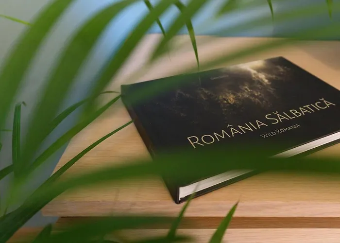 Lägenhet Charming & 1br Ap 2 Balconies -old Town *